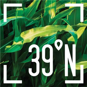39-North-logo-Corn-300x300 39 North Corn logo