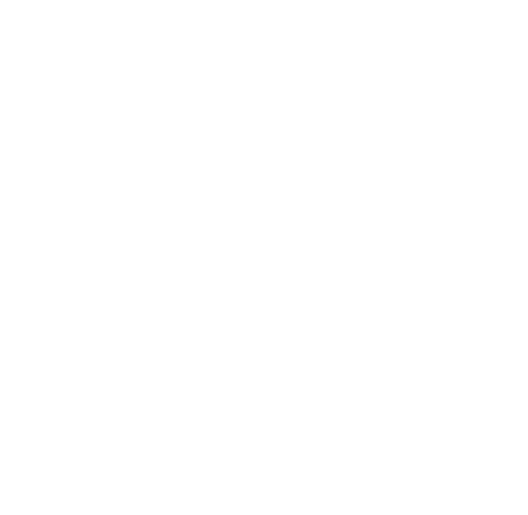 39 North white logo