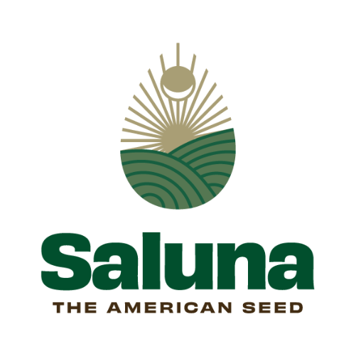 Saluna_CompanyLOgo