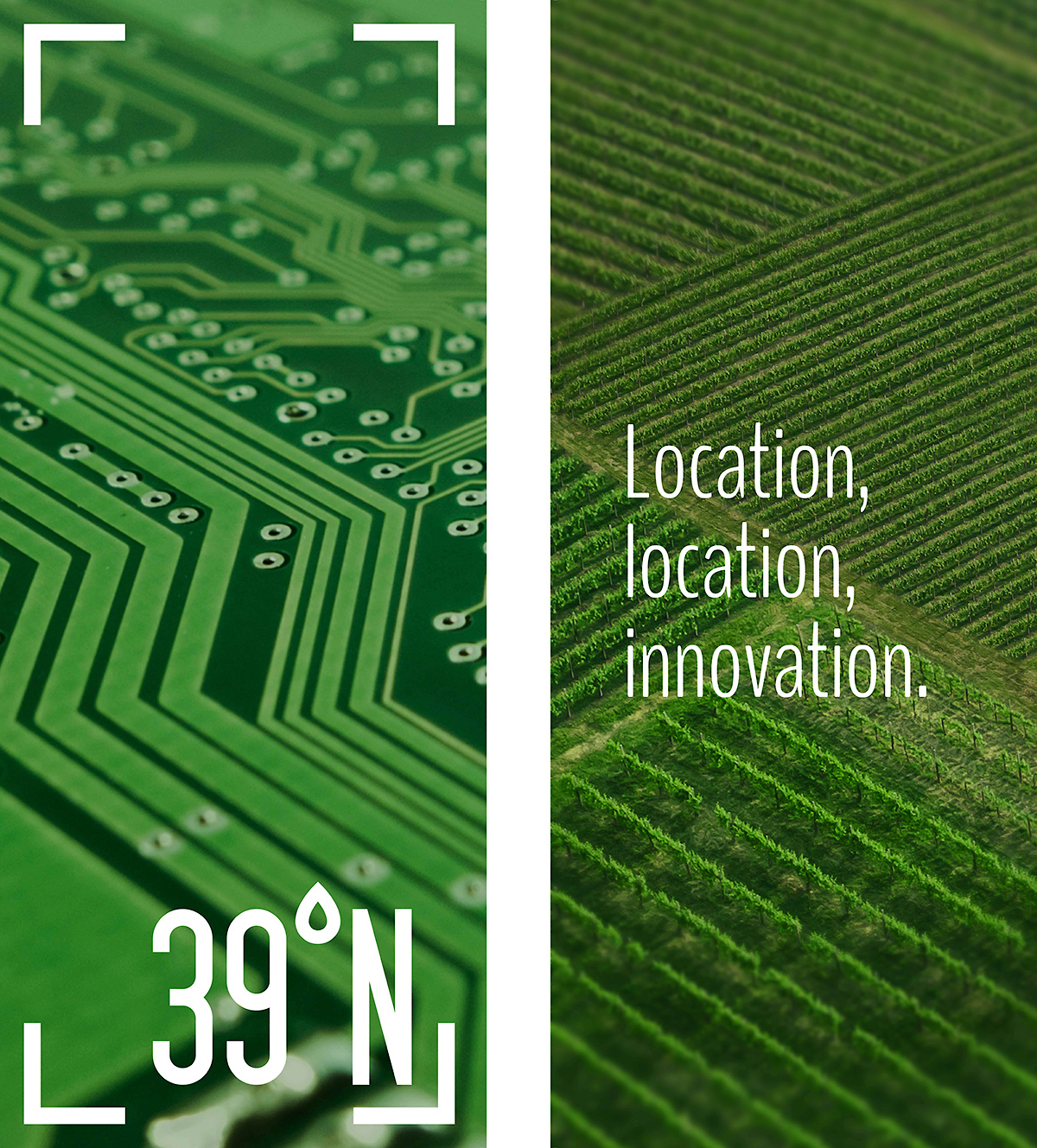 39N_PoleBanners_Motherboard-Farm copy