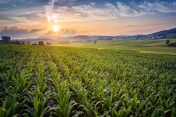 (AgriTech Tommorow) Making biological crop amendments the new normal