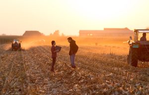 Farmers talking on field