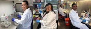 Plastomics team photo