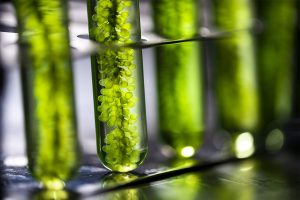 Closeup of vile with green liquid