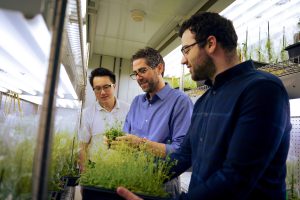 Men in agtech lab