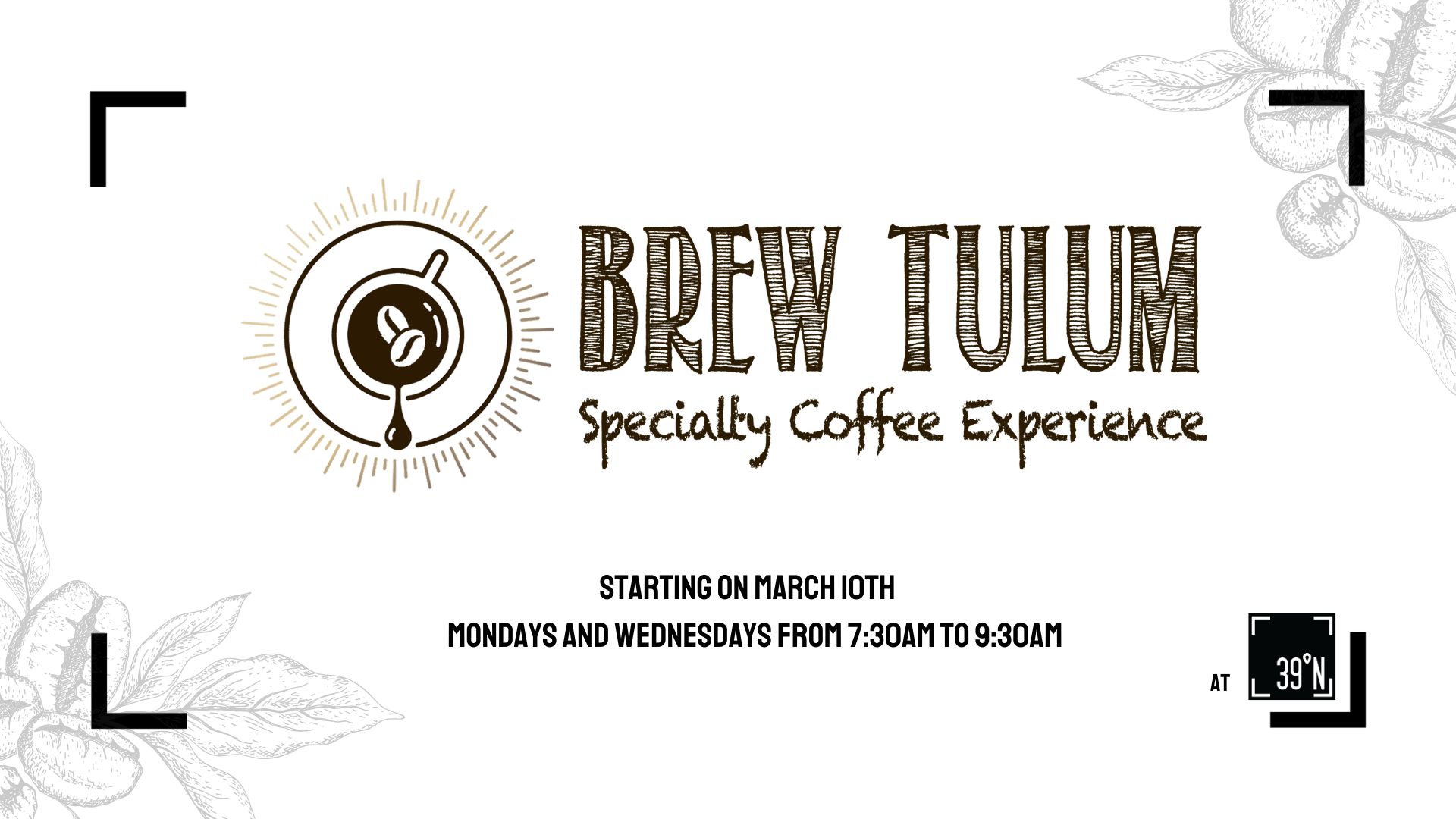 brew-tulum Brew Tulum event photo