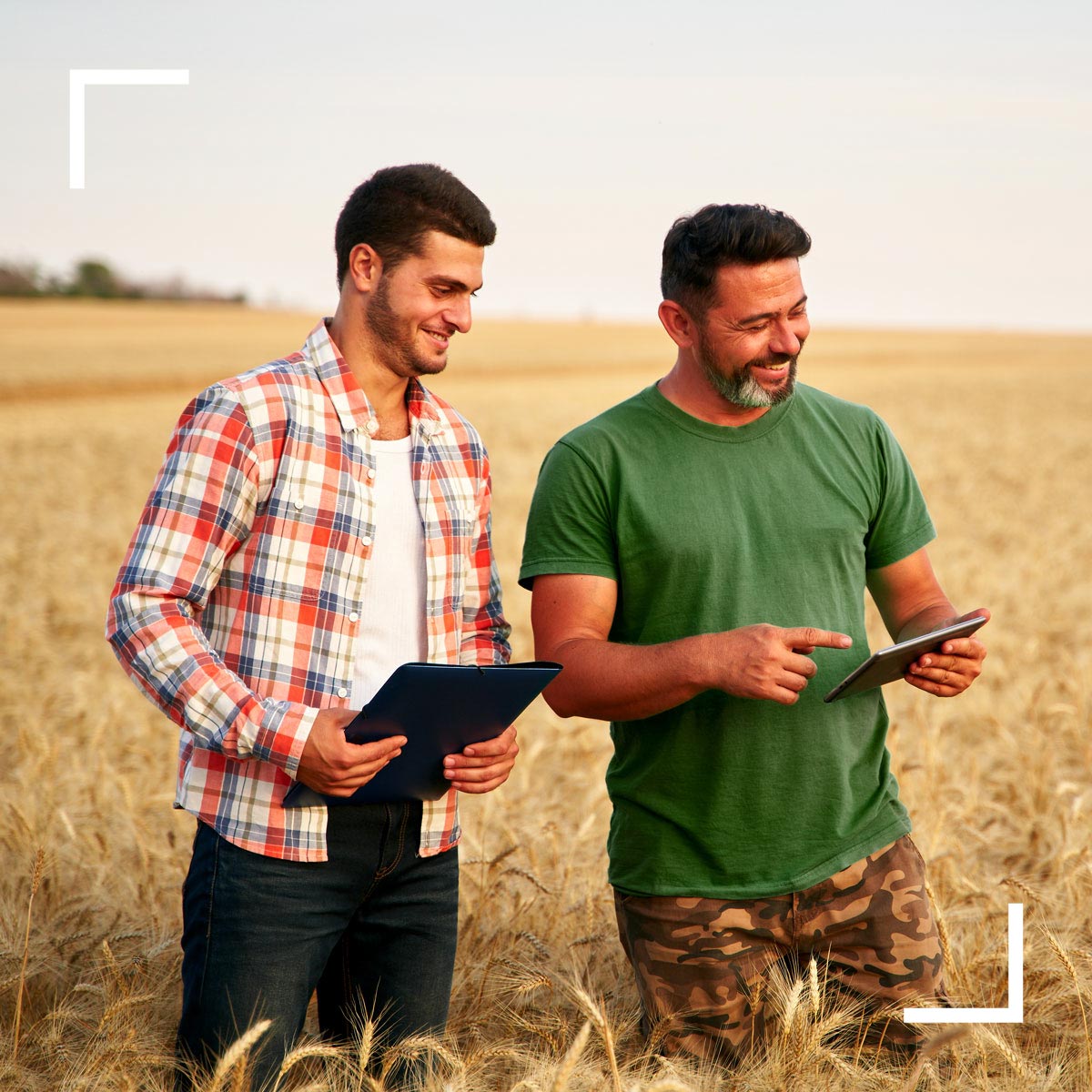men-surveying-crop Men surveying crop