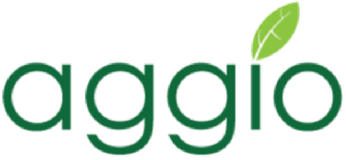Aggio logo