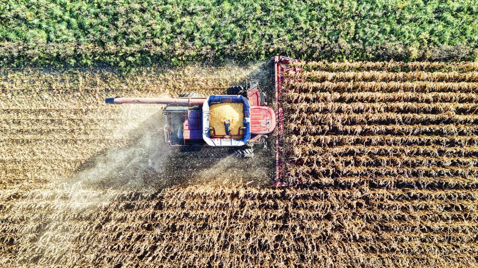 STL Business Journal Article, Dec 5, 2025